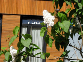 Studio-apartment in city-center